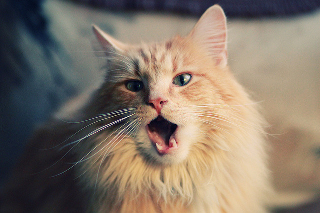 kaiyun登录入口-传奇对决:历史上最经典的球星对阵回顾,传奇对决是腾讯的吗